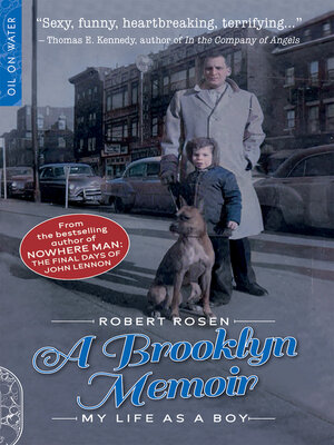 cover image of A Brooklyn Memoir
